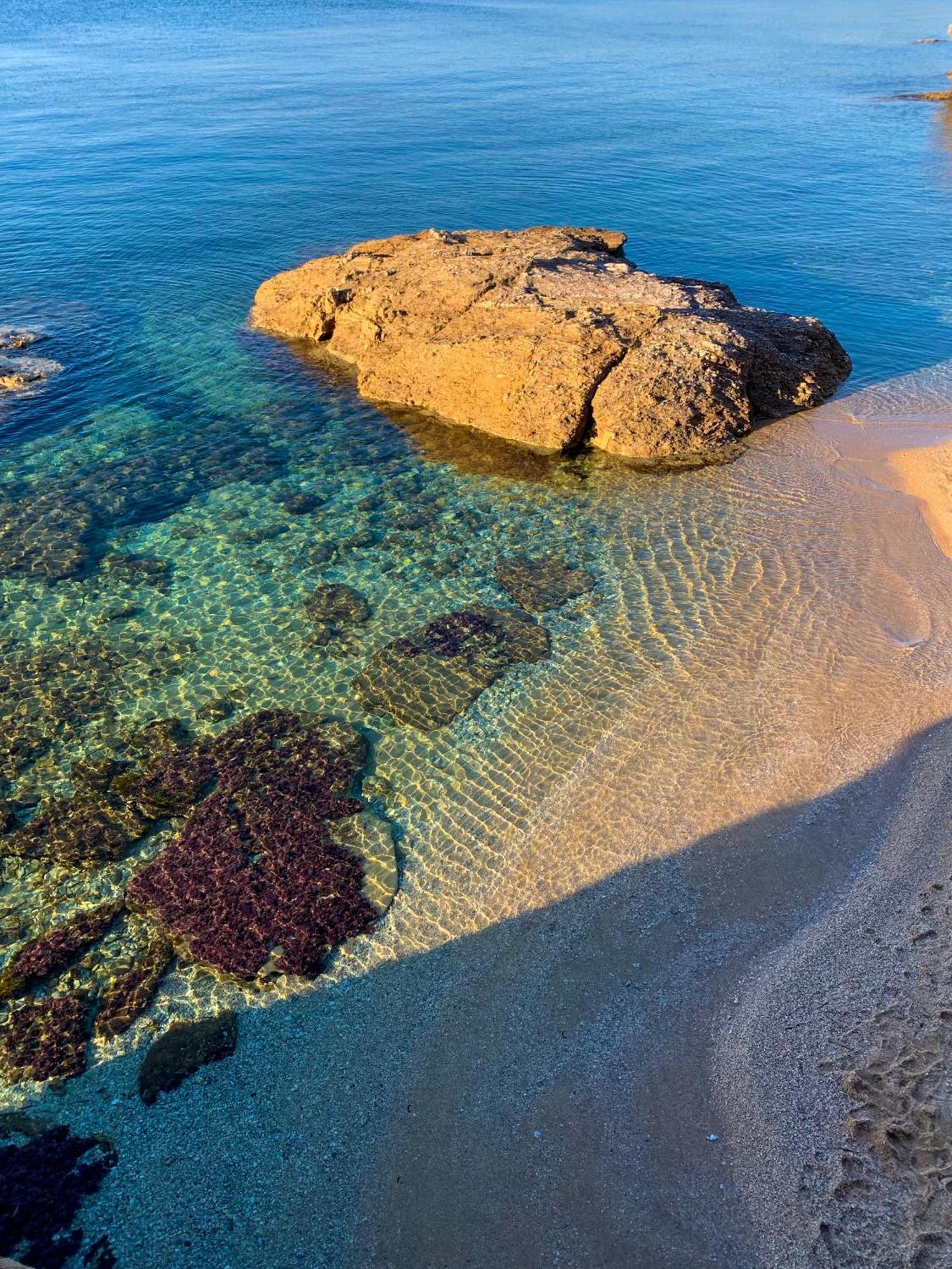 T2 Avec Terrasse & Parking A 5 Min Du Centre, 10 Min Des Plages Hyères Exteriör bild